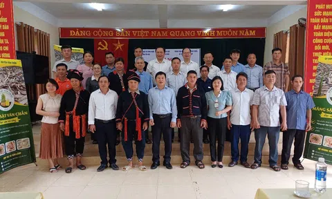 Yên Bái: Công bố Giấy chứng nhận đăng ký nhãn hiệu và Cấp quyền sử dụng nhãn hiệu chứng nhận "Măng sặt Văn Chấn"