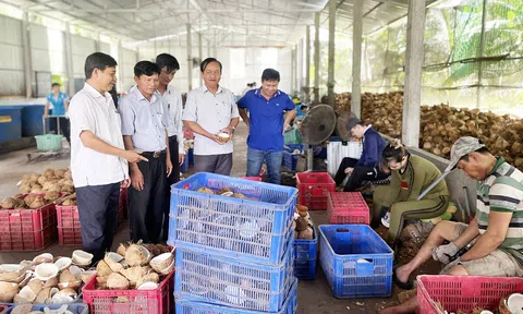 Bến Tre: HTX Nông nghiệp Thới Thạnh giúp thay đổi cuộc sống nông dân