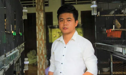 Bỏ phố về quê nuôi chim đột biến kiếm tiền tỷ?