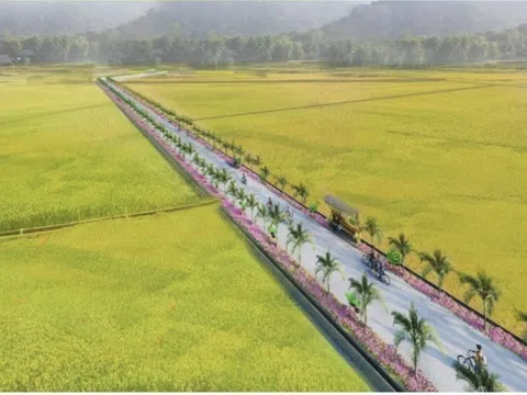 Nông nghiệp đô thị và những vấn đề đặt ra trên địa bàn thành phố Hà Nội (Kỳ 9)