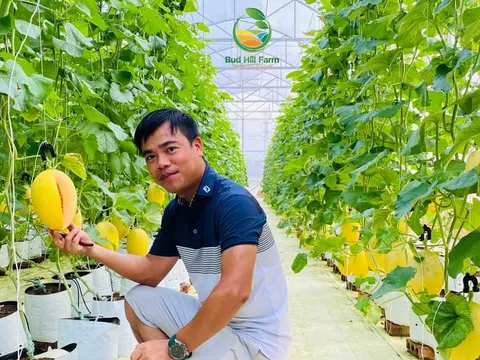 Nghệ An xây dựng vùng chuyên canh ứng dụng công nghệ số