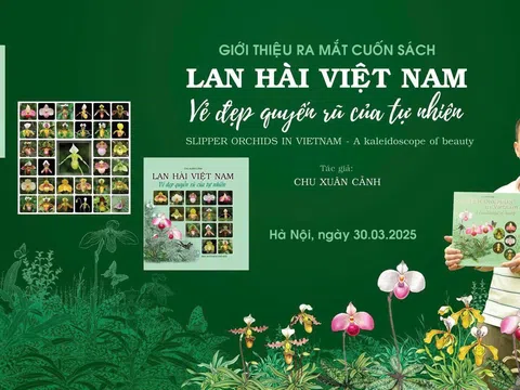 Cuốn sách quý giới thiệu các loài Lan Hài của Việt Nam
