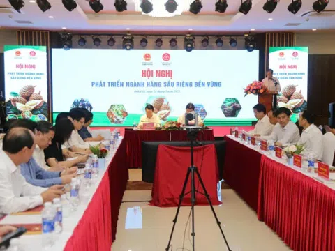 Thúc đẩy phát triển hiệu quả, bền vững ngành sầu riêng Việt Nam