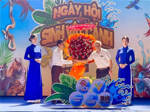 Sự đổi mới hiệu quả trong mô hình tổ chức sinh vật cảnh