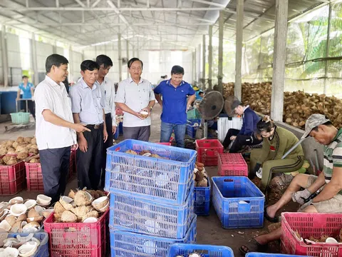 Bến Tre: HTX Nông nghiệp Thới Thạnh giúp thay đổi cuộc sống nông dân
