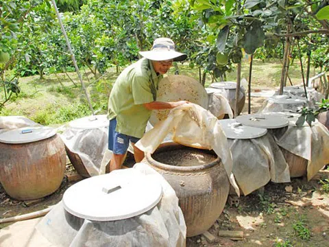 Phục hồi đất - Mục tiêu phát triển bền vững