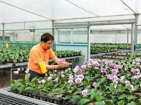 Doanh nhân Nguyễn Văn Kính hiện thực hóa 'giấc mơ' ghi tên Việt Nam trên bản đồ hoa lan thế giới