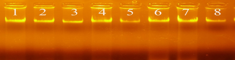 nucleotide-1745937306.png