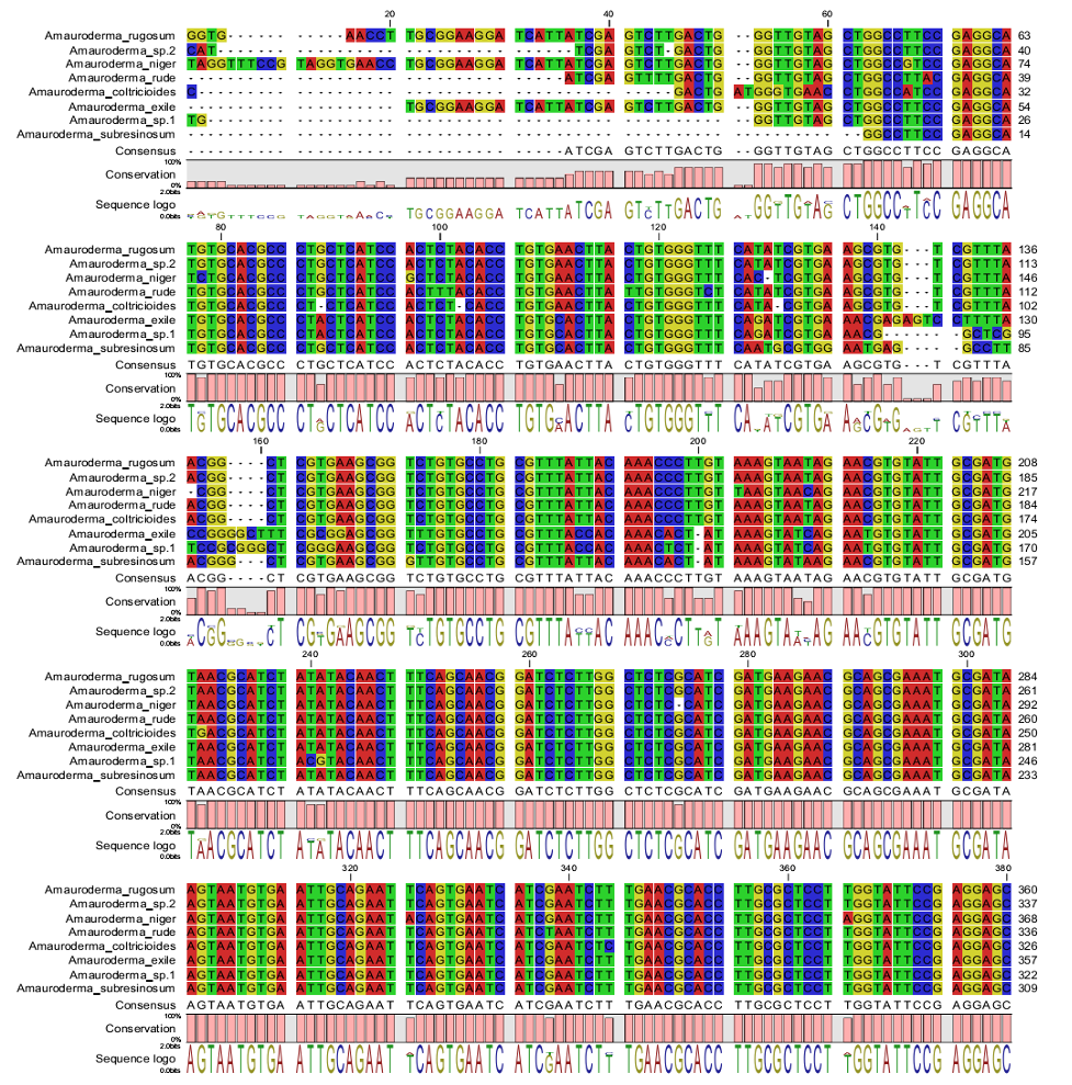 nucleotide-2-1745937308.png