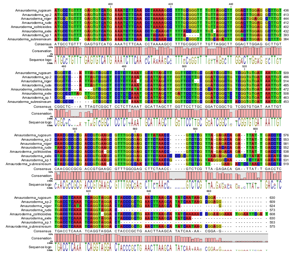 nucleotide-3-1745937310.png