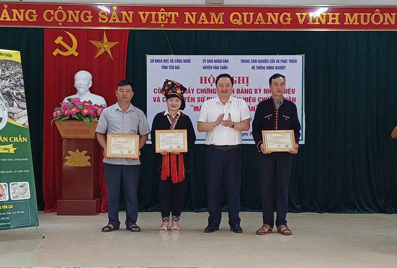 d6d684b92ef29aacc3e3-1748577116.jpg