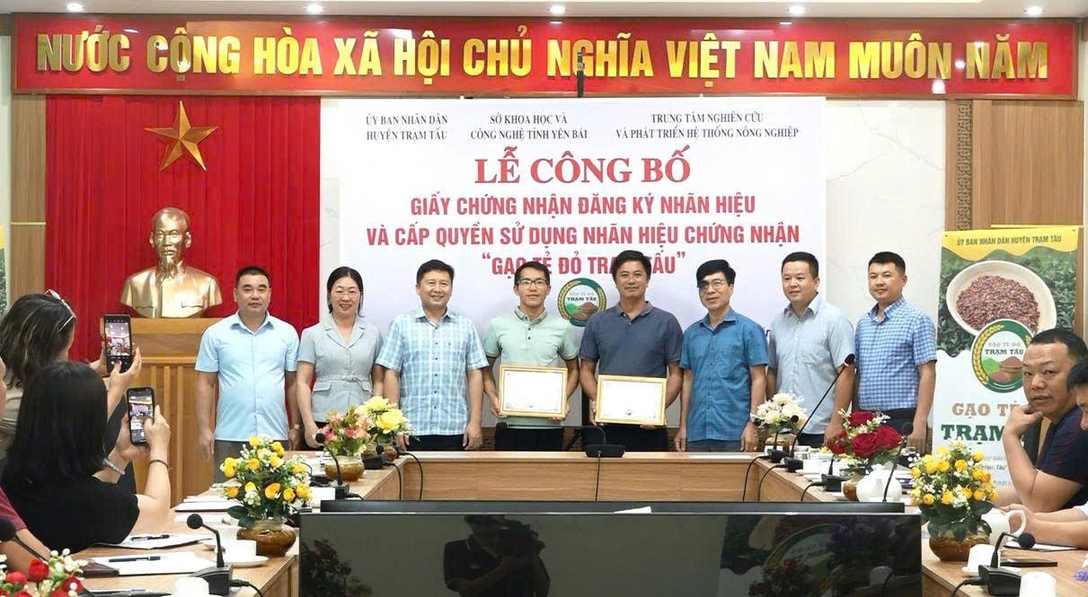 6ab401cd66abd1f588ba-1750220783.jpg