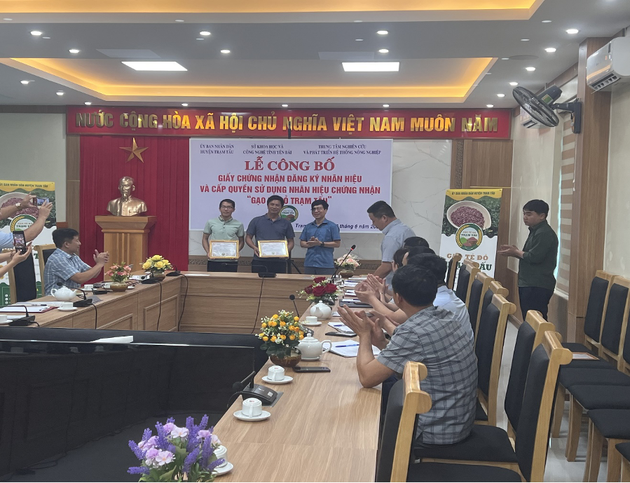 le-cong-bo-1-1750219764.png