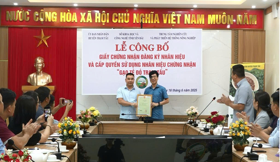 le-cong-bo-1750219764.png