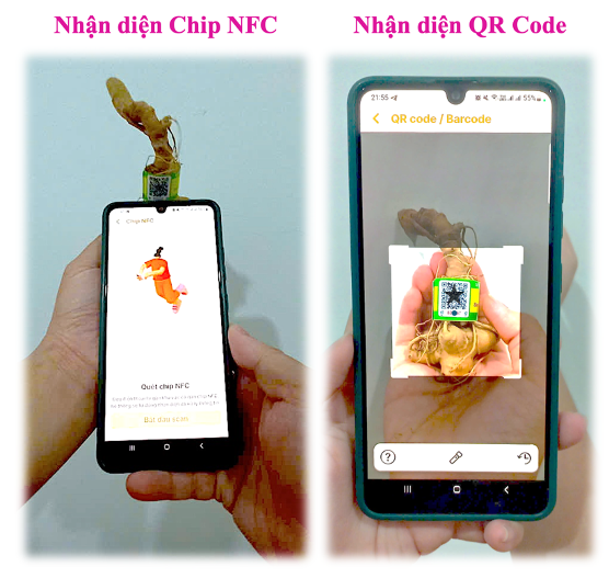 sam-ngoc-linh-1-1752799414.png