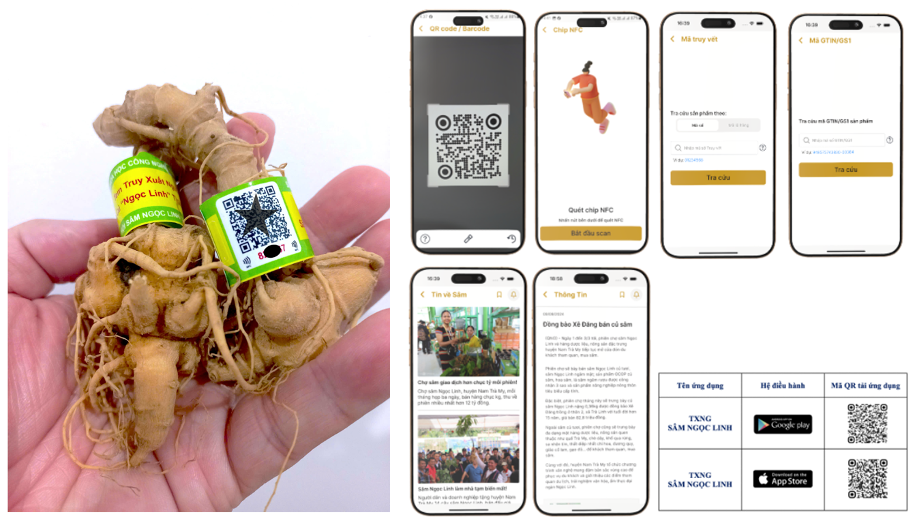 sam-ngoc-linh-6-1752799414.png