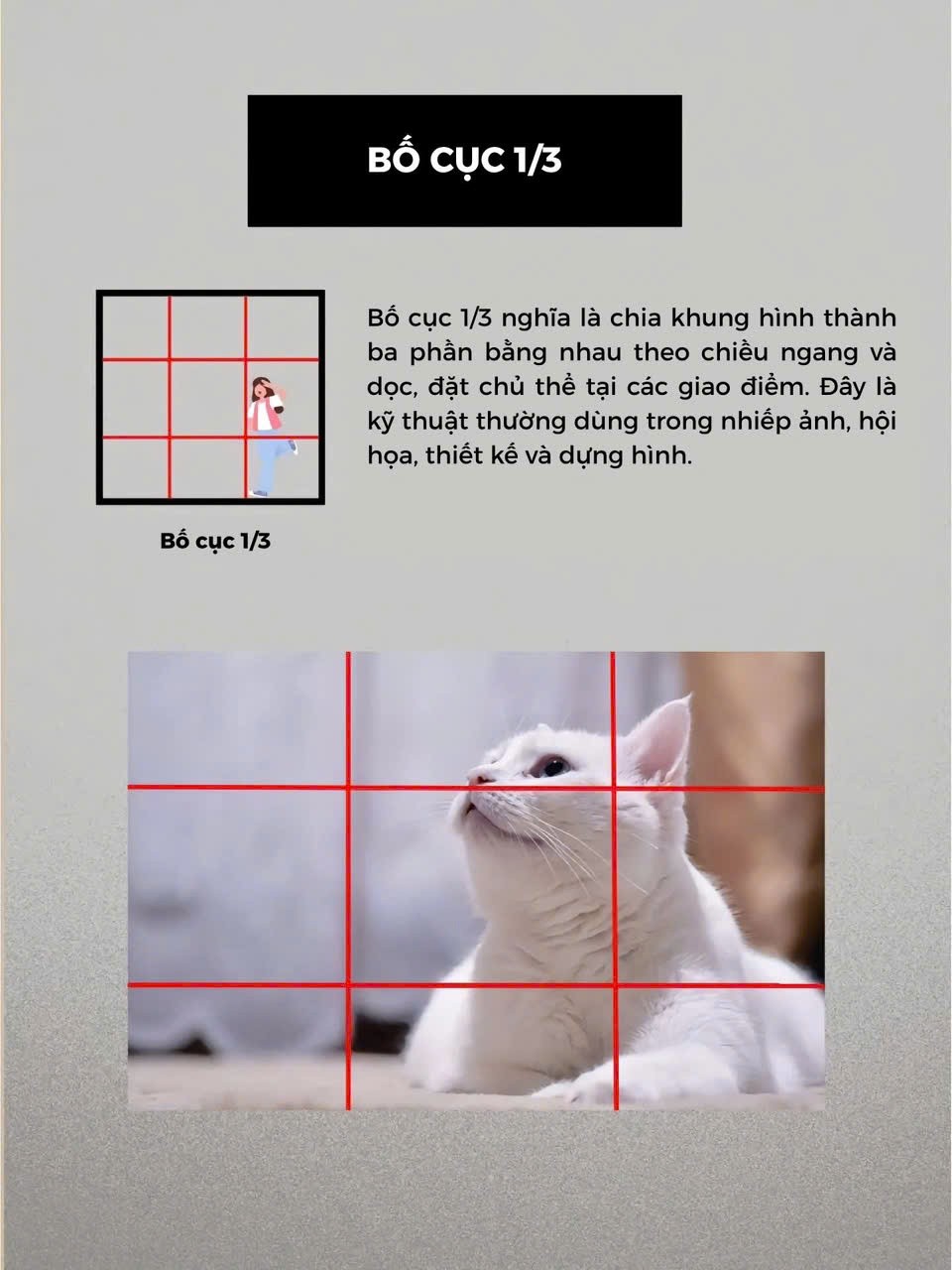 382751495595ddcb8484-1755569005.jpg