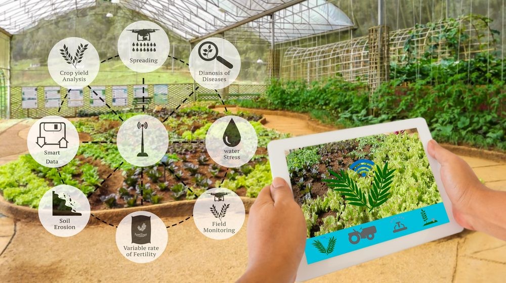 Xây dựng các chính sách phù hợp với chuyển đổi số và ứng dụng AI trong sản xuất nông nghiệp