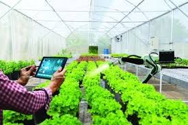 Chuyển đổi số giải phóng tiềm năng Nông nghiệp và phát triển Nông thôn bền vững