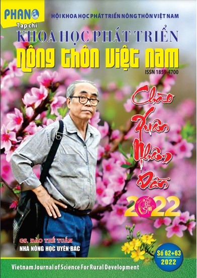 Tạp chí số 62 + 63