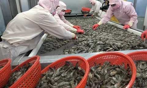 Xuất khẩu thủy sản tăng mạnh