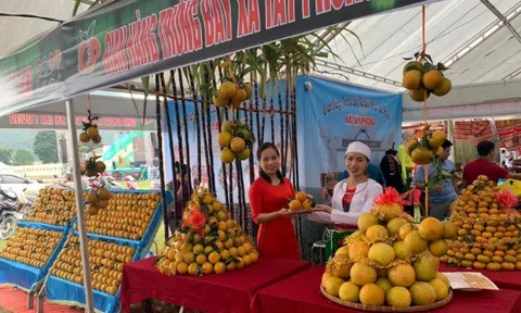 Khai mạc Lễ hội Cam Cao Phong lần thứ 7