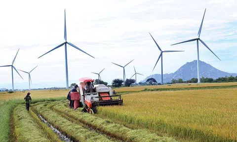 Tầm nhìn chiến lược cho nông nghiệp miền Trung