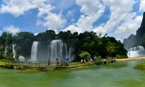 Đi tìm Ngũ danh Việt Nam
