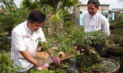 TP. Đà Nẵng: Dấu ấn nông nghiệp đô thị