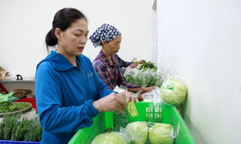 Vĩnh Phúc: Phát triển nền nông nghiệp bền vững, thân thiện với môi trường