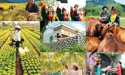 Quyết liệt triển khai thực hiện các chương trình mục tiêu quốc gia