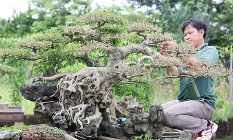 Hà Nội: Mở hướng đi riêng phát triển nông nghiệp sinh thái