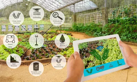 Xây dựng các chính sách phù hợp với chuyển đổi số và ứng dụng AI trong sản xuất nông nghiệp