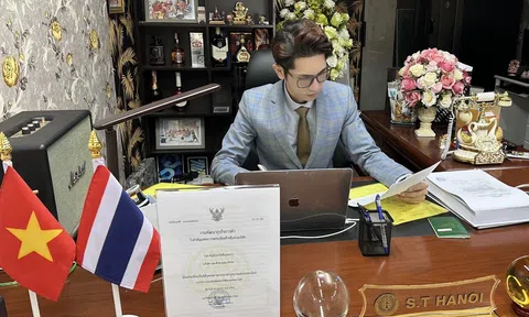 Cùng tìm hiểu về cách hoạt động của  Văn phòng luật S.T Hanoi