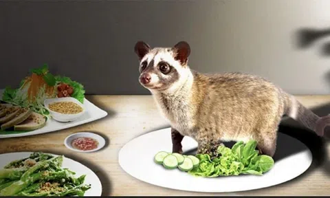 Để rừng phục hồi sự sống