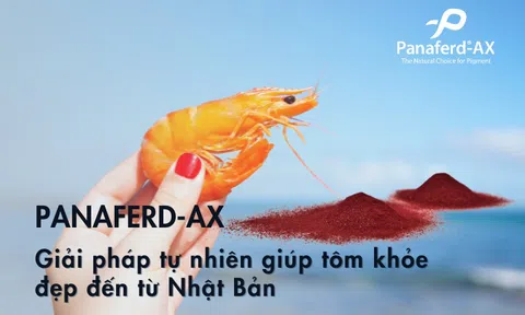 Panaferd-AX - Giải pháp tự nhiên giúp tôm khỏe đẹp đến từ Nhật Bản