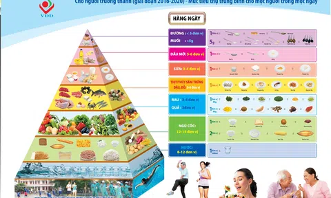 Những khái niệm cơ bản về thức ăn có nguồn gốc thực vật
