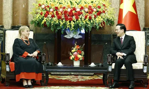 Chủ tịch nước Võ Văn Thưởng tiếp cựu Tổng thống Chile Michelle Bachelet