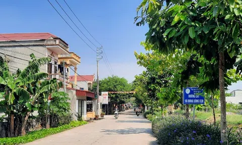 Chung sức làm thay đổi diện mạo làng quê