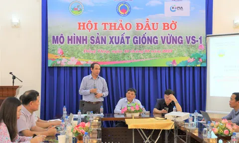 Đồng Tháp: Hướng tới sử dụng giống vừng VS-1 trong sản xuất