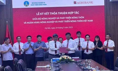 Tăng cường nguồn lực tín dụng cho nông nghiệp, nông dân, nông thôn