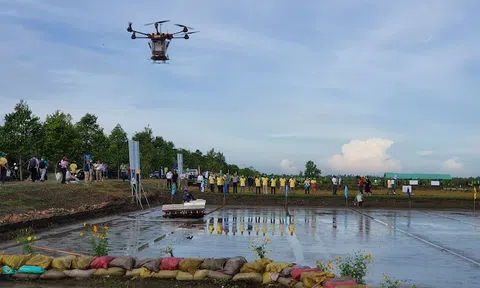 Nông nghiệp công nghệ cao, nhìn từ câu chuyện của Hàn Quốc