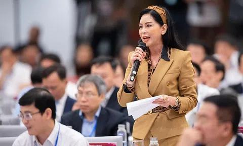 'Doanh nghiệp Việt chậm lớn' và lời phản hồi từ một nữ doanh nhân