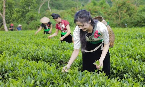 Điện Biên: Tiềm năng phát triển du lịch sinh thái