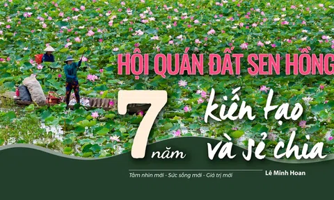 Hội quán đất Sen Hồng - 7 năm kiến tạo và sẻ chia