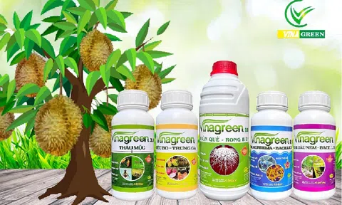 Top 7 chế phẩm sinh học tại VinaGreen đáng để đầu tư cho ngành trồng trọt