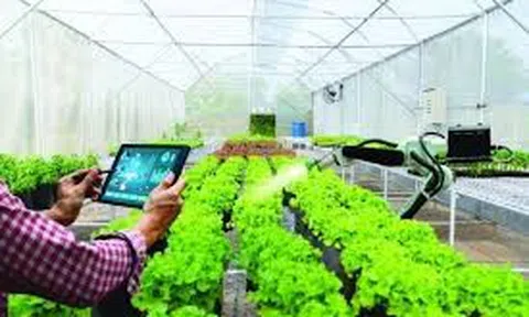 Chuyển đổi số giải phóng tiềm năng Nông nghiệp và phát triển Nông thôn bền vững