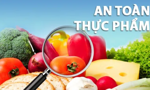 Chi Cục Quản lý chất lượng Nông Lâm sản và Thuỷ sản Thanh Hoá, hoạt động và hiệu quả.